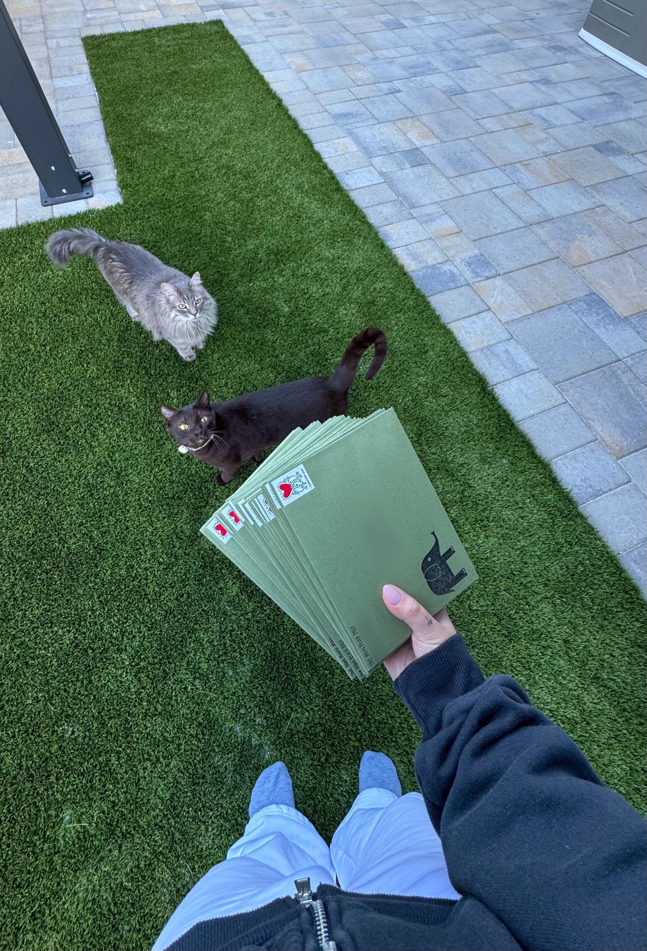 March’s Snail Mail